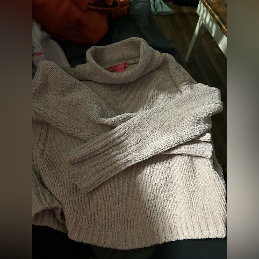 Turtleneck sweatshirt
